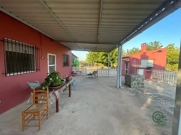 Spot image