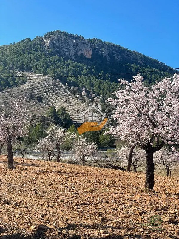 Finca agrícola de 4 ha en venta en Velez-Rubio, Almeria
