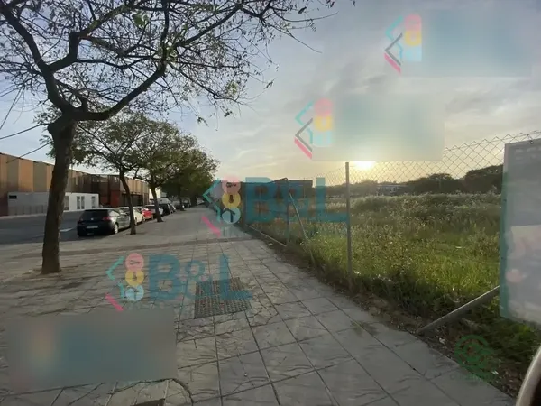 Spot image