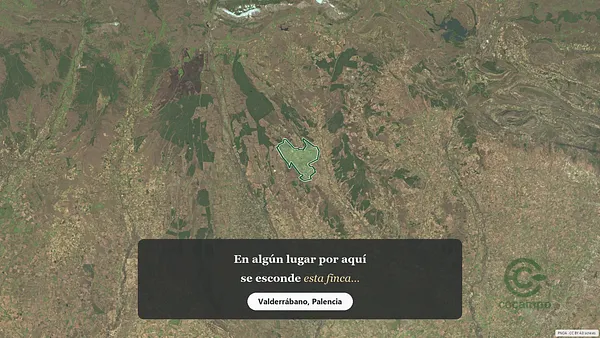 Spot image