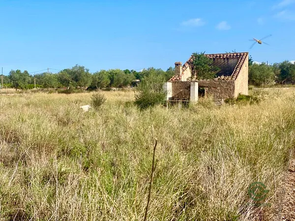 Finca rústica de 1,4639 ha en venta en Santa Barbara, Tarragona