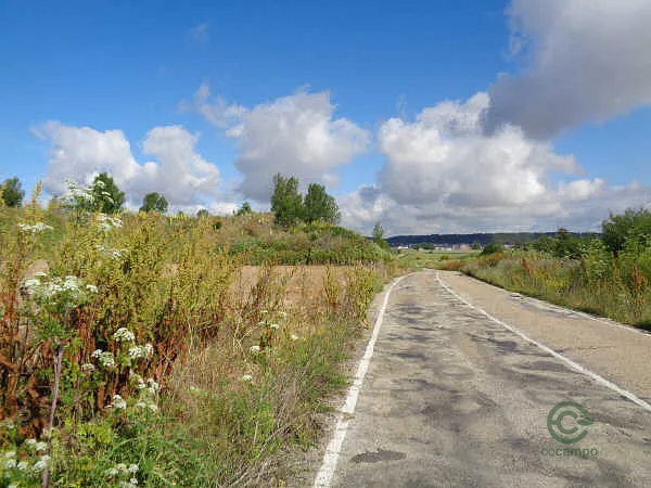 Finca rústica de 4,0787 ha en venta en Burgos, Burgos