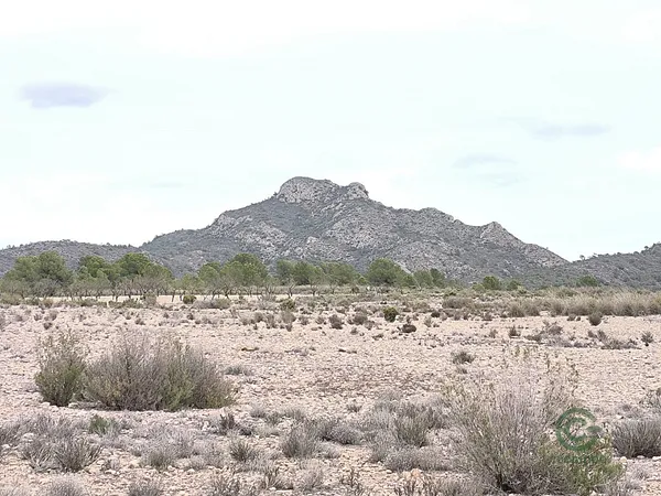 Spot image