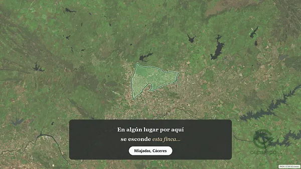 Spot image