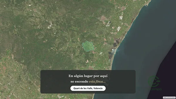 Spot image