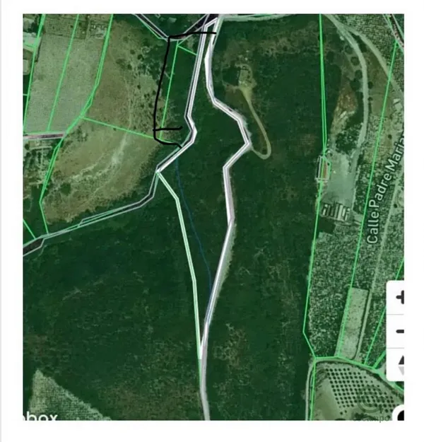 Spot image
