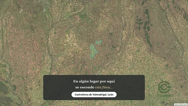 Spot image