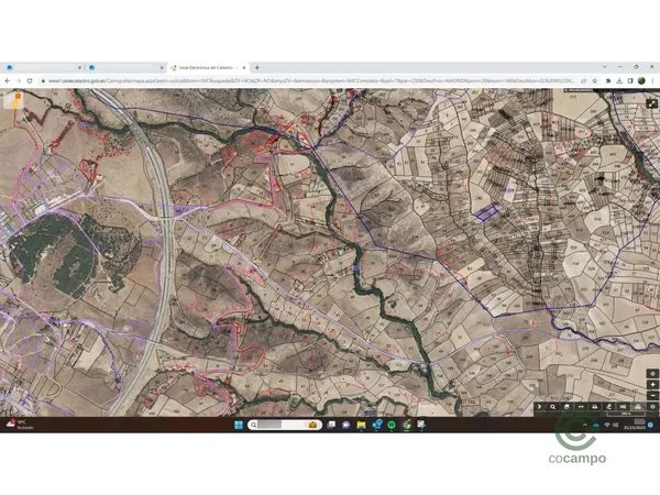 Spot image
