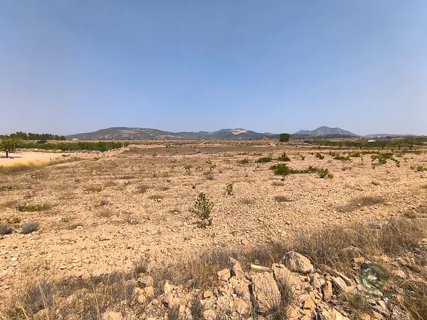 Spot image