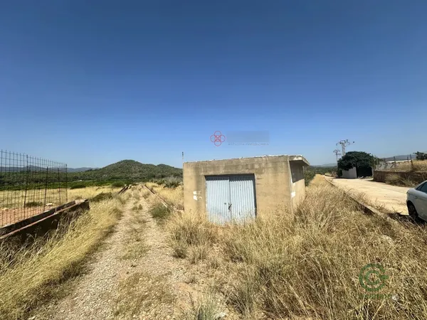 Spot image