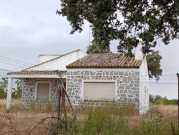Spot image