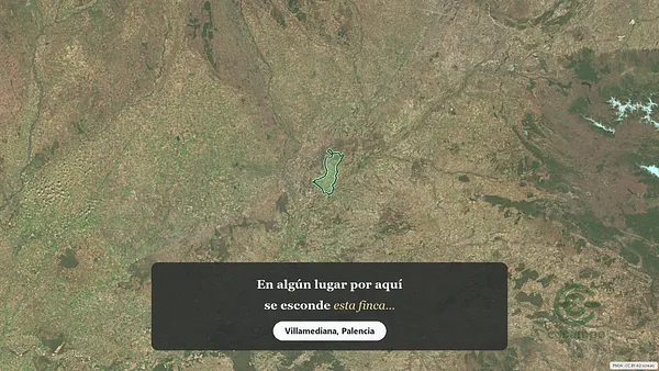 Spot image