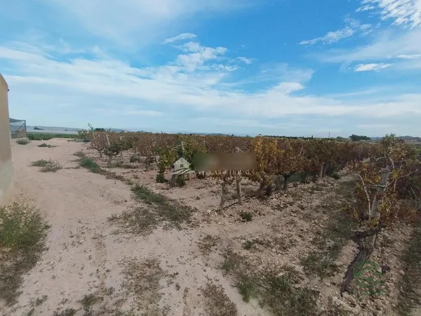 Finca agrícola de 0,5075 ha en venta en Novelda, Alicante