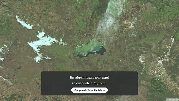 Spot image