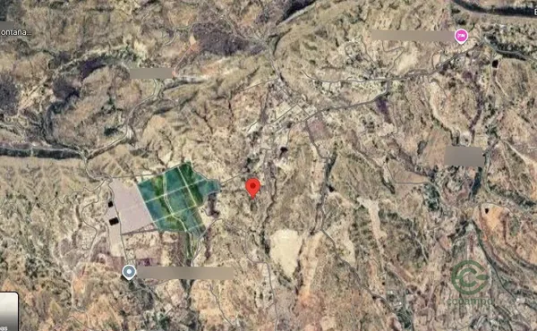 Spot image