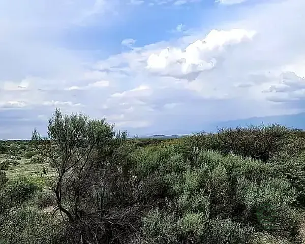 Finca rústica de 1840 ha en venta en Tucumán