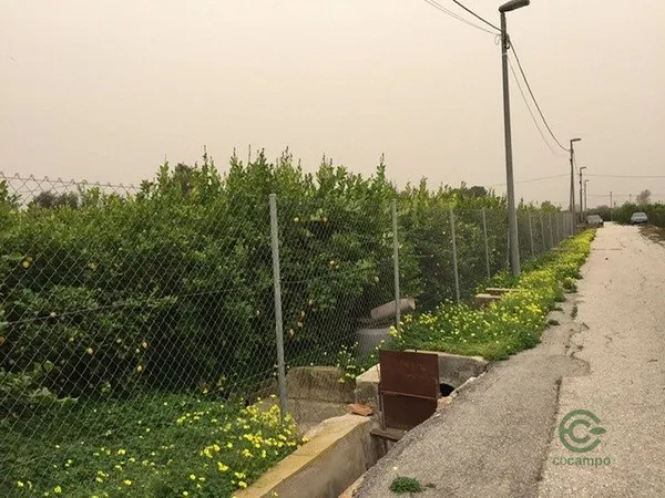 Finca agrícola de 0,35 ha en venta en Murcia, Murcia
