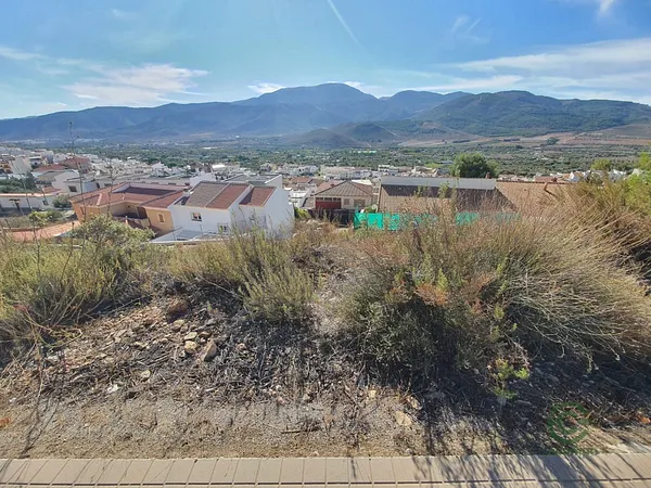 Spot image