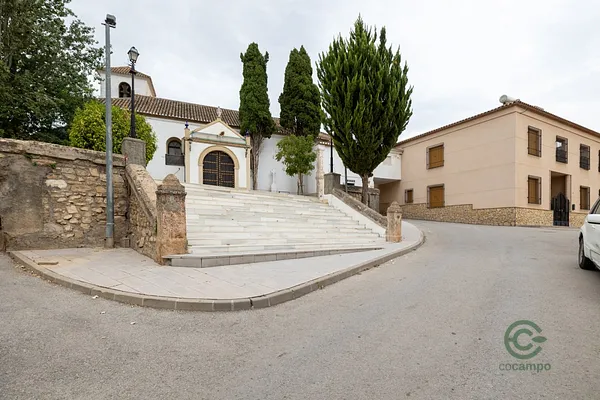Spot image