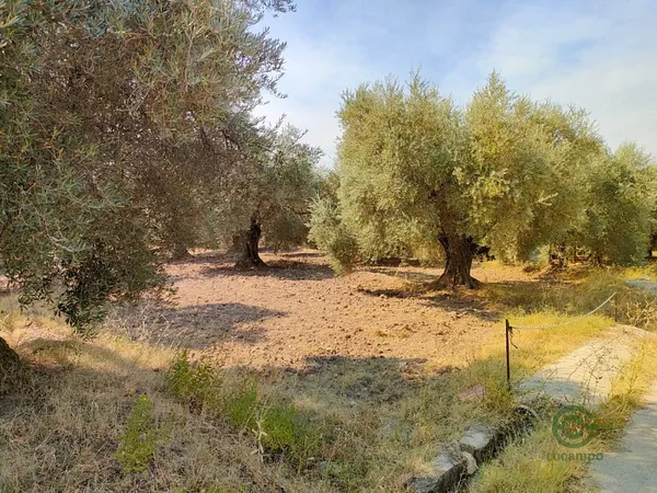 Agricultural property of 0,1049 ha for sale in Granada