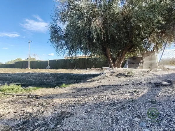 Finca agrícola de 0,61 ha en venta en Novelda, Alicante