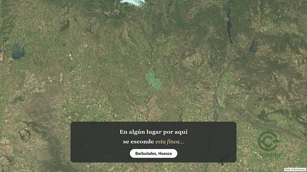 Spot image