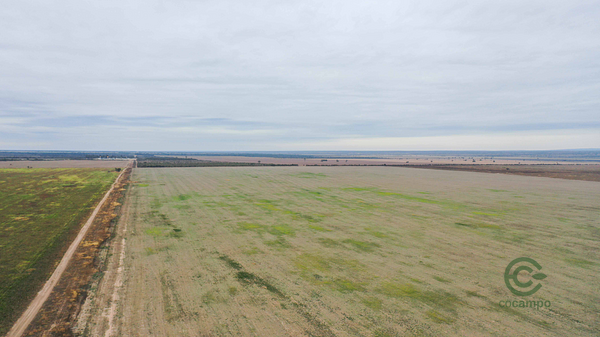 Finca agrícola de 1185 ha en venta en Santiago del estero