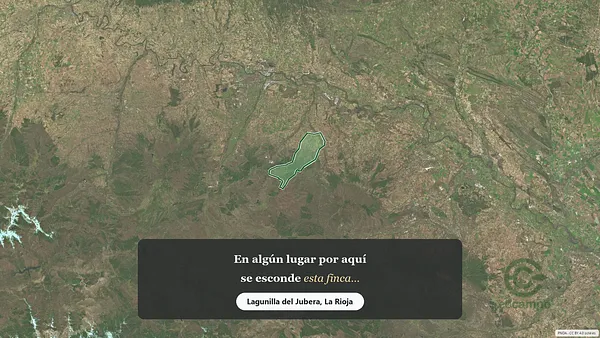 Spot image