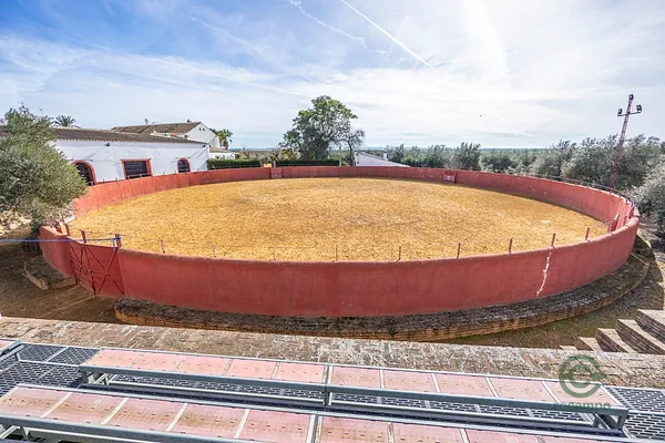 Finca rústica de 2,3073 ha en venta en Carmona, Sevilla