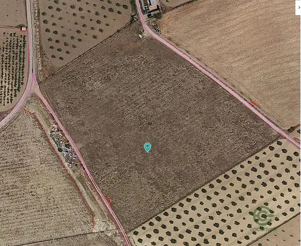 Spot image