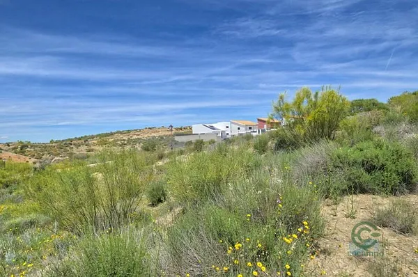 Spot image
