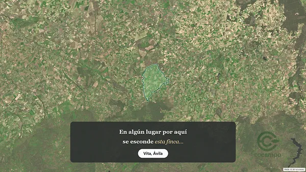 Spot image