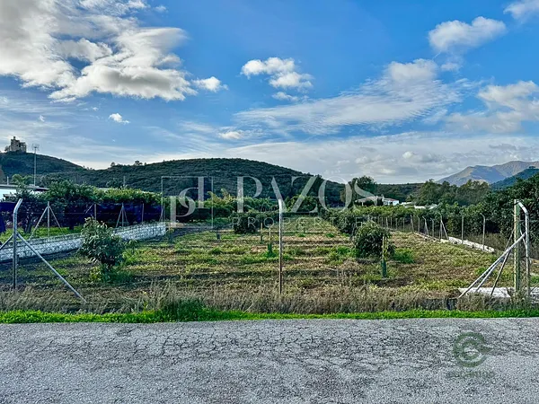 Finca agrícola de 0,3 ha en venta en Alhaurín el grande, Malaga
