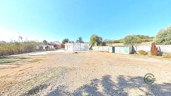 Spot image