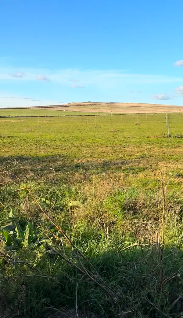 Finca agrícola de 15 ha en alquiler en Toledo