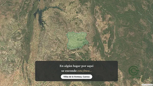 Spot image