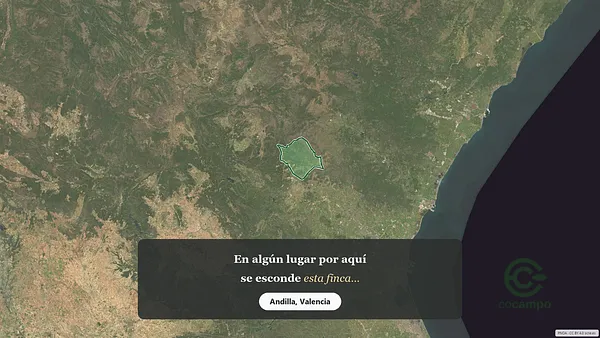 Spot image