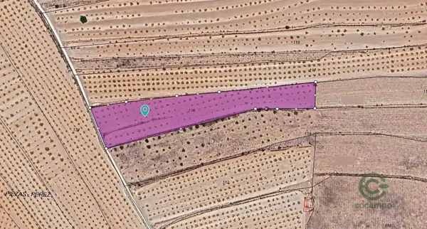 Spot image