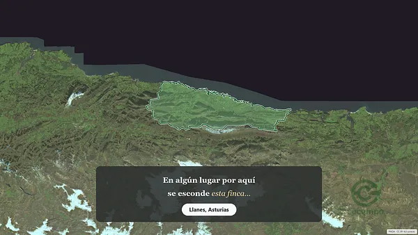 Spot image