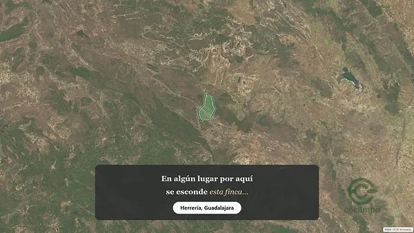 Spot image