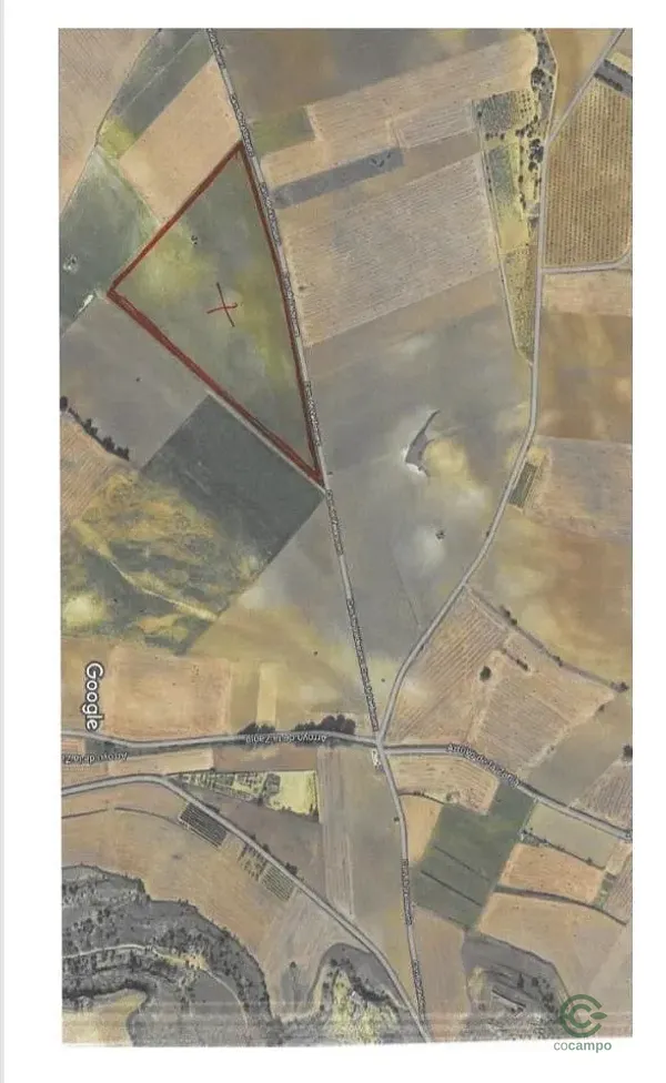Spot image