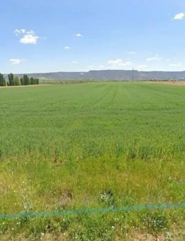 Finca agrícola de 5,9 ha en venta en Guadalajara