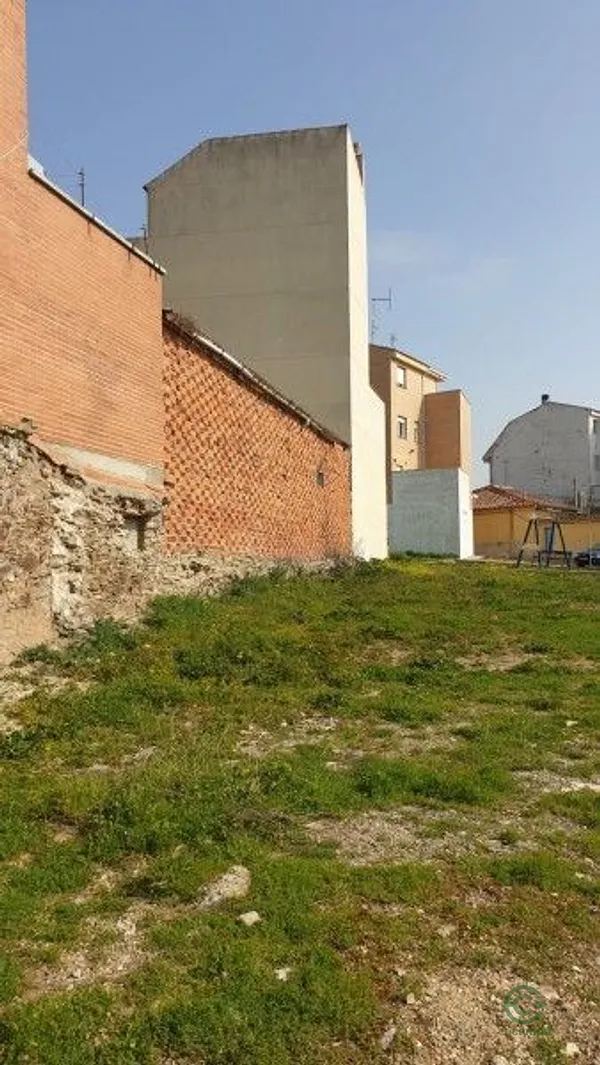 Spot image