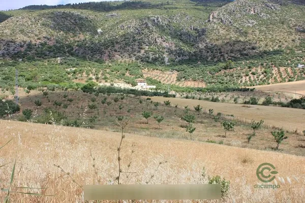 Spot image