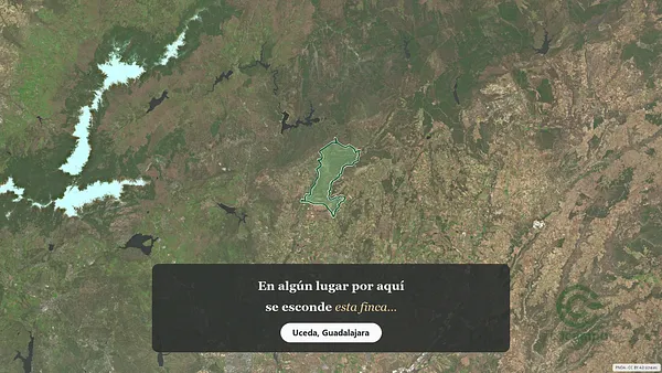 Spot image