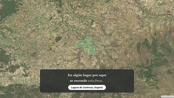 Spot image