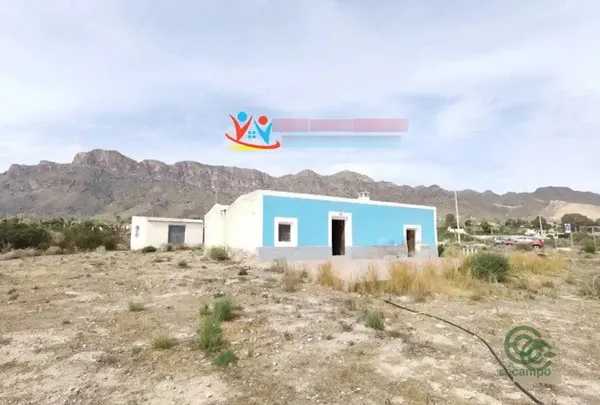 Spot image