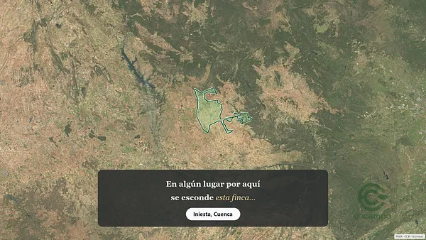 Spot image