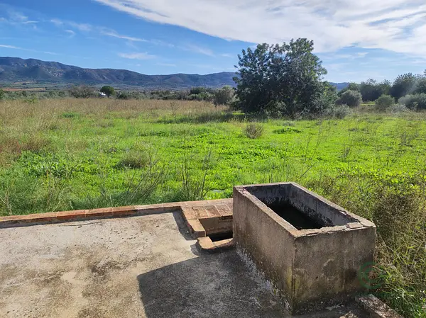 Finca agrícola de 2,8294 ha en venta en Ulldecona, Tarragona