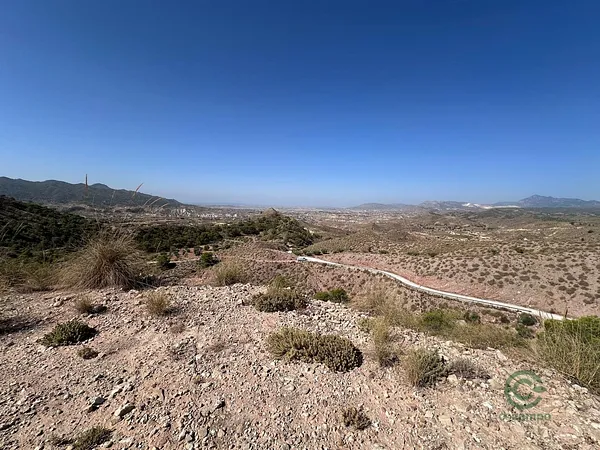Spot image